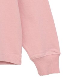 Green Parks セサミストリートミーツフルーツオブザルーム　ロンＴＥＥ