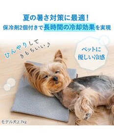 PET PARADISE ペットパラダイス  コンパクトクーラー グレー 2026