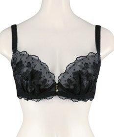 San-ai Resort（三愛水着楽園） エレガントコレクション 【2412】 単品ブラEFGカップ