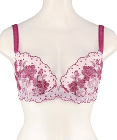 San-ai Resort（三愛水着楽園） エレガントコレクション 【2412】 単品ブラEFGカップ