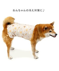 PET PARADISE ペットパラダイス makokoro ペティヒート 腹巻 《犬柄》 中型犬 大型犬