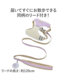 PET PARADISE ペットパラダイス 超反射切り替え ハーネス＆リード ＳＭ 《ピンク》