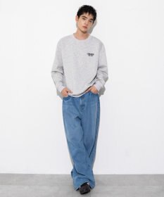 WEGO 【ユニセックス着用ITEM】CONVERSEバックサガラプルオーバー