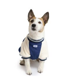 PET PARADISE Lee スタジャン 小型犬