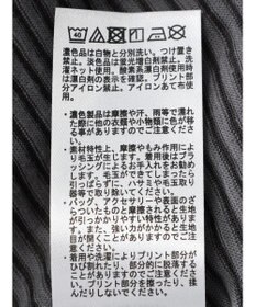 Green Parks シアーボーダーロゴプルオーバー