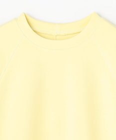 ANY L ダンボールバックリブプルオーバー