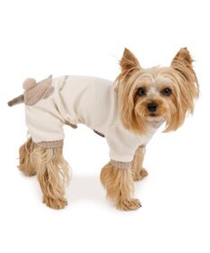 PET PARADISE ペットパラダイス くまちゃんお尻 プレミアム ペティヒート  ロンパース 小型犬
