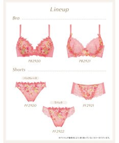 Wing ブラジャー Wing Lesiage 脇すっきりの着やせシルエット 背中の段差・脇のハミ肉軽減 【2920シリーズ】 Gカップまで対応 大きいサイズ ブラ PB2921 ウイング／ワコール