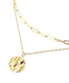 AMERICAN HOLIC ステンレス　ＣＯＩＮ２連ネックレス