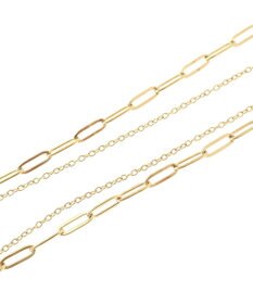 AMERICAN HOLIC ステンレス　ＣＯＩＮ２連ネックレス