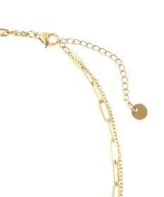 AMERICAN HOLIC ステンレス　ＣＯＩＮ２連ネックレス