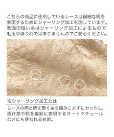 BRADELIS New York 【BRADELIS New York】ウェンディステップ1ブラ23A1 ふんわり包んでナチュラルなシルエットを作る補正ブラ