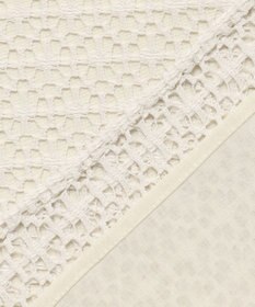 J.PRESS LADIES レースジャージー バンドカラー カットソー