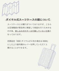 ACE BAGS & LUGGAGE ace. パリセイドZd Lサイズ 88～103L 06817 エース