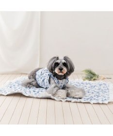 PET PARADISE ペットパラダイス エコメイド 天竺 キャミソール 《トワルドジュイ》小型犬