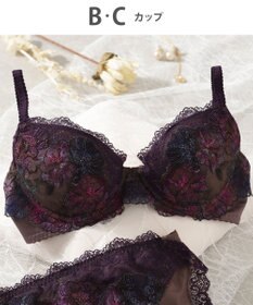 Wing Wing Lesiage　【2760シリーズ】　ブラジャー　ふっくらまる胸　カップ肌側綿混素材　ウイング／ワコール　PB2760