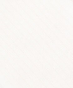 ANY KIDS ワンポイントハイソックス