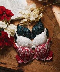 San-ai Resort（三愛水着楽園） 【エレガントコレクション2311】単品ブラBCDカップ 【northerly】