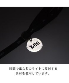 PET PARADISE 犬 リード Ｌｅｅ おしゃれ 【４Ｓ~３Ｓ】 反射 チャーム付き