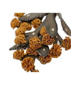 genten エヴァーチャーム ミモザ