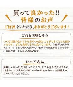 PET PARADISE ペットパラダイス 犬 おやつ デリスタイル8種類 ヘルシー系セット