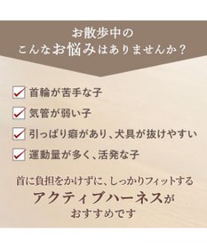 PET PARADISE Lee ロゴアクティブ ハーネス Ｓ