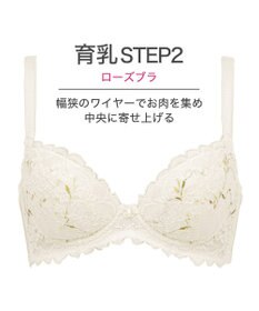 BRADELIS New York 【BRADELIS New York】ローズステップ２ブラ23S1 育乳補整 ふんわり寄せて脇まですっきりする補整ブラ
