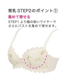 BRADELIS New York 【BRADELIS New York】ローズステップ２ブラ23S1 育乳補整 ふんわり寄せて脇まですっきりする補整ブラ