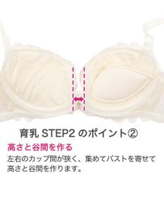 BRADELIS New York 【BRADELIS New York】ローズステップ２ブラ23S1 育乳補整 ふんわり寄せて脇まですっきりする補整ブラ