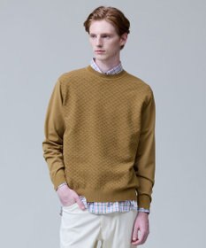 J.PRESS MEN 軽やかに着映える上質ベーシック【ストレッチ / イージーケア】【FLEX YARN】クルーネック ニット ベージュ系