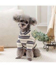 PET PARADISE ペットパラダイス ペティヒート Tシャツ 《マルチボーダー 》小型犬