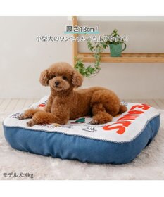 PET PARADISE スヌーピー フレンズ クッション