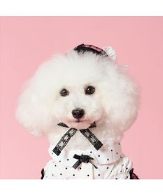 PET PARADISE cherircouture ベレー帽 ４Ｓ～３Ｓ / ＳＳ～Ｓ