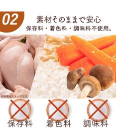 PET PARADISE 愛犬にやさしい スープごはん 鶏