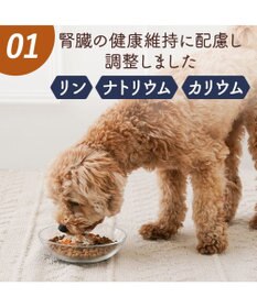 PET PARADISE 愛犬にやさしい スープごはん 鶏