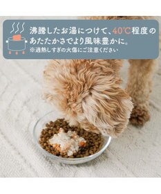 PET PARADISE 愛犬にやさしい スープごはん 鶏