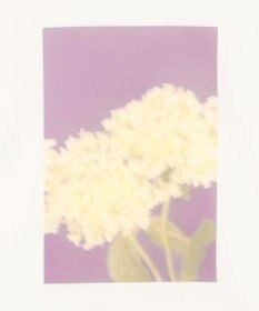 BEIGE， 【洗える・クロワッサン 掲載】PENTAS / オリジナルフォトプリントＴシャツ