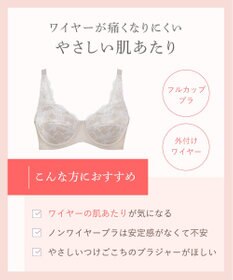 Wing フルカップブラ　肌あたりがやさしい　ウイング／ワコール　NB2703