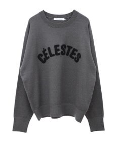 AMERICAN HOLIC バイパチＣＥＲＥＳＴＥＳロゴニットプルオーバー