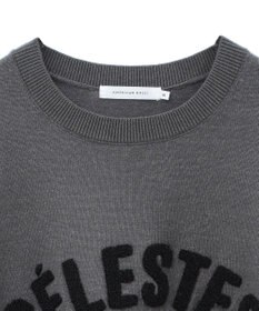 AMERICAN HOLIC バイパチＣＥＲＥＳＴＥＳロゴニットプルオーバー