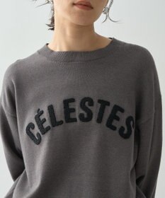 AMERICAN HOLIC バイパチＣＥＲＥＳＴＥＳロゴニットプルオーバー