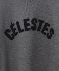 AMERICAN HOLIC バイパチＣＥＲＥＳＴＥＳロゴニットプルオーバー