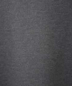 AMERICAN HOLIC バイパチＣＥＲＥＳＴＥＳロゴニットプルオーバー