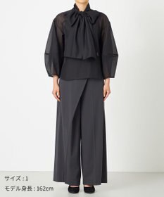 NAVE 【Nave・手洗い可】オーガンジーブラウス