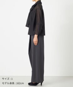 NAVE 【Nave・手洗い可】オーガンジーブラウス