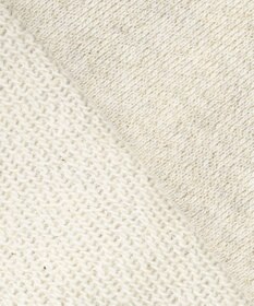 J.PRESS LADIES 【WEB限定カラーあり】ラメ裏毛 カットソー