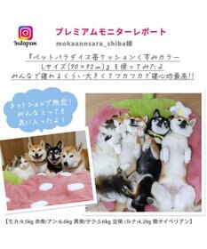 PET PARADISE ネット店限定 ペットパラダイス くすみ苺 クッション L