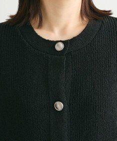 Green Parks シルバーボタンクルーネックベスト