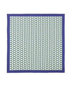 AMERICAN HOLIC 亀甲柄スカーフ