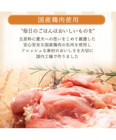 PET PARADISE ≪配合リニューアル≫ ペットパラダイス  国産 ドッグフード ビオキッチン 3kg
